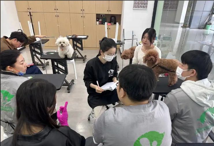 眉山市宠物美容师宠物美容培训学校 - 厂家